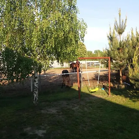 Letniskowy - Swietne Nad Jeziorem Wilczynskim Wilczyn