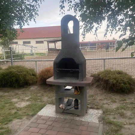 Holiday home Letniskowy - Swietne Nad Jeziorem Wilczynskim *