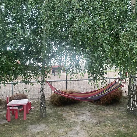 Letniskowy - Swietne Nad Jeziorem Wilczynskim Holiday home *